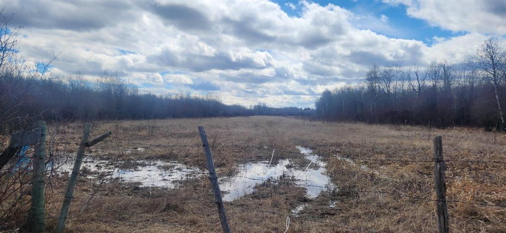 Open pasture with fence line at 0 106 N Road, RM of Armstrong