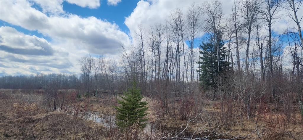 Wide pasture view at 0 106 N Road, RM of Armstrong