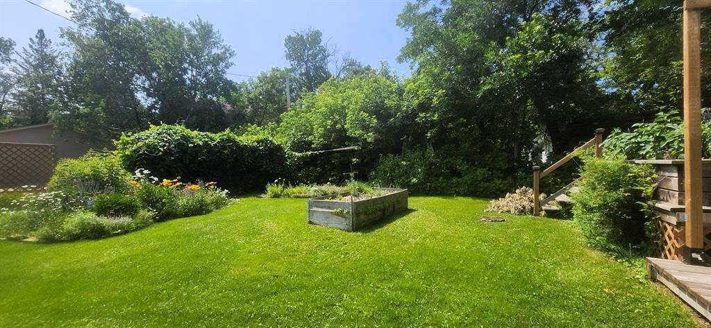 2 Maplewood Avenue, Whytewold · backyard lawn and raised garden bed