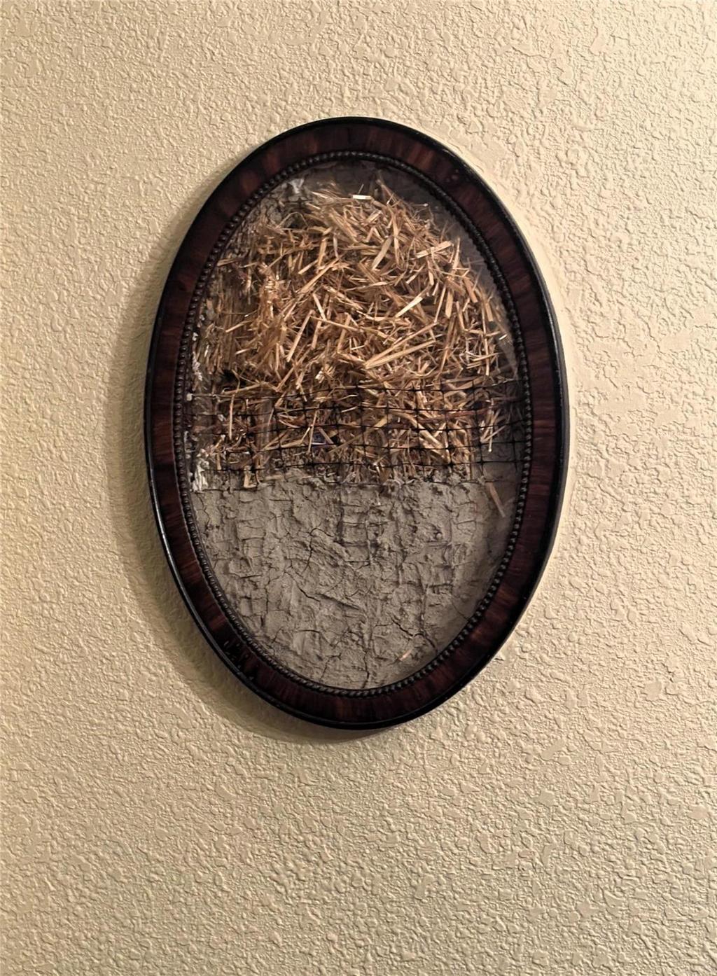 20053 Minerva Road &middot; the truth window, a small framed opening showing the straw bale inside the wall