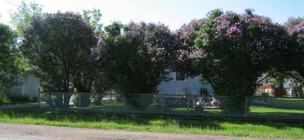 310 Epsilon Avenue, Winnipeg Beach &middot; Lilac hedge in bloom along the fence line at the edge of the property