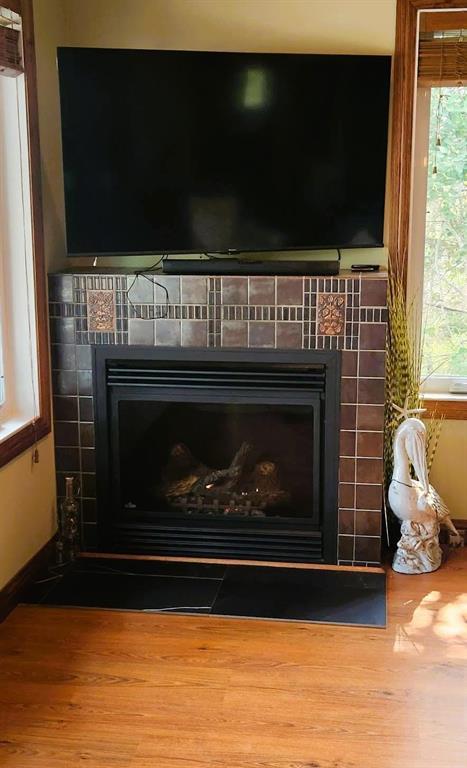 35 Thorvaldson Drive, Arnes · propane fireplace