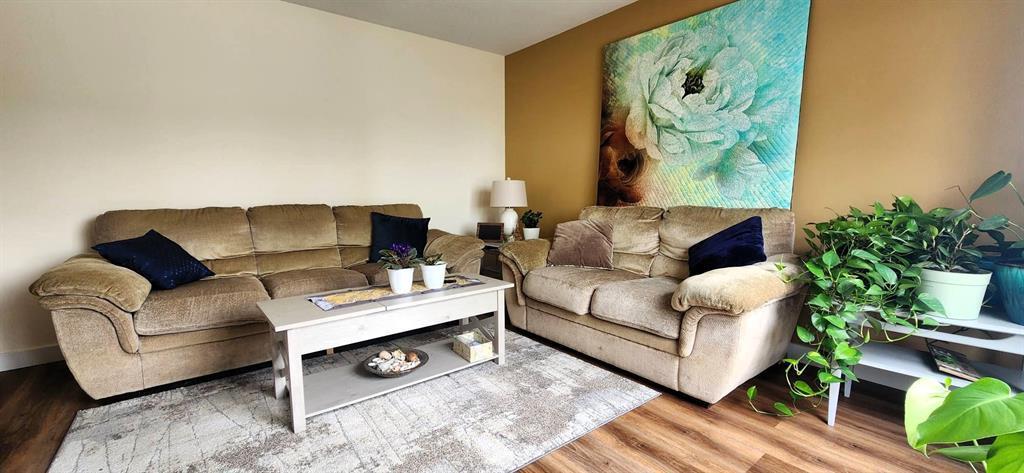 7 Surtsey Road, Sandy Hook · living room with sofas and feature wall