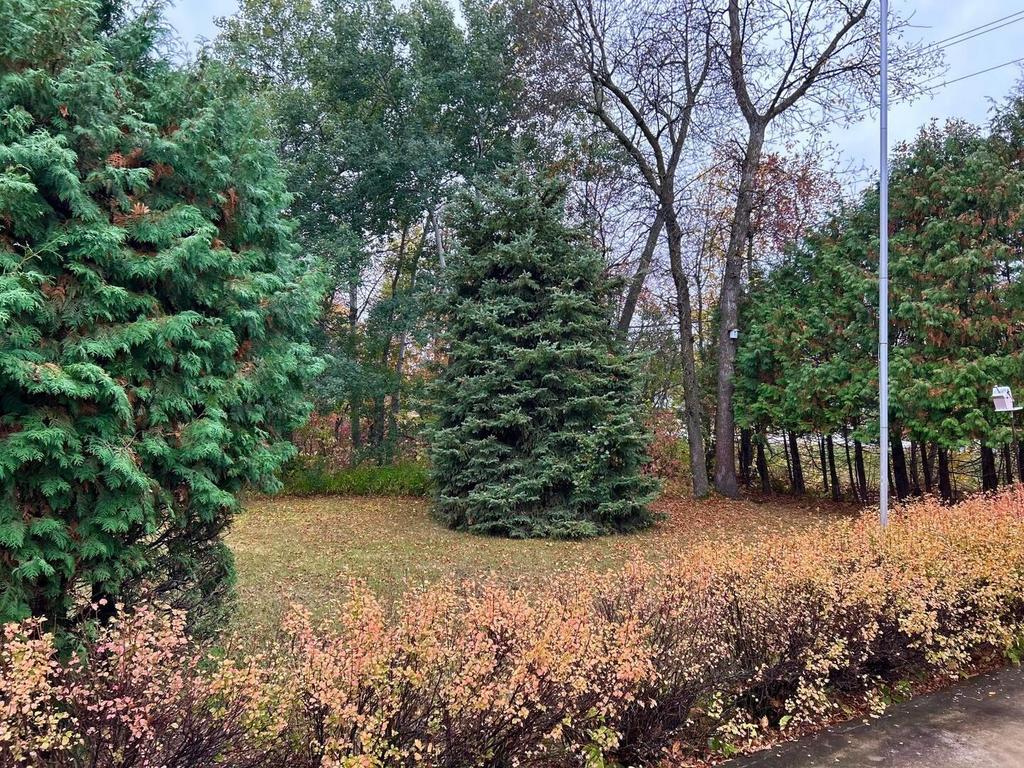 899 PTH 9 Highway, Winnipeg Beach &middot; mature evergreens along the edge of the yard